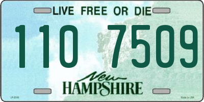 NH license plate 1107509