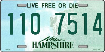 NH license plate 1107514