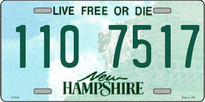 NH license plate 1107517