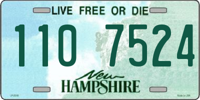 NH license plate 1107524