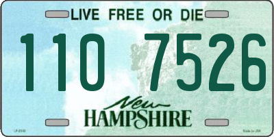 NH license plate 1107526