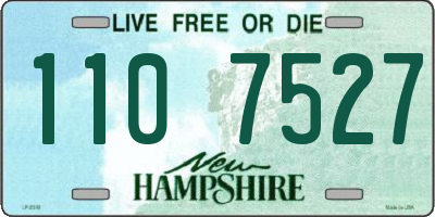 NH license plate 1107527