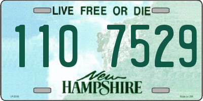 NH license plate 1107529