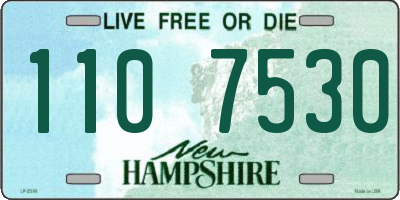 NH license plate 1107530