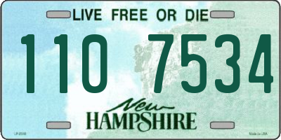 NH license plate 1107534