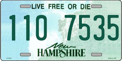 NH license plate 1107535