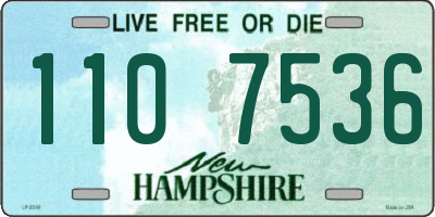 NH license plate 1107536