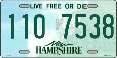 NH license plate 1107538
