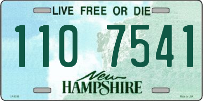 NH license plate 1107541