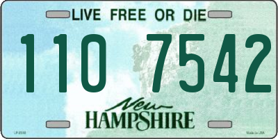 NH license plate 1107542
