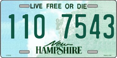 NH license plate 1107543