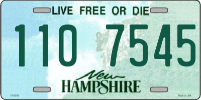 NH license plate 1107545