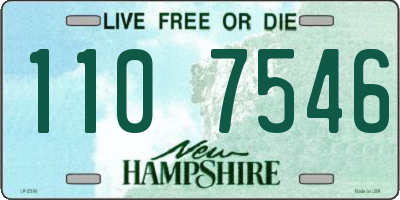 NH license plate 1107546