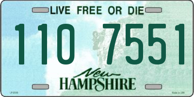 NH license plate 1107551