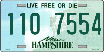NH license plate 1107554