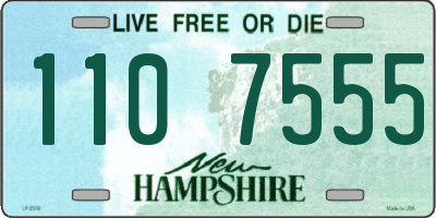 NH license plate 1107555