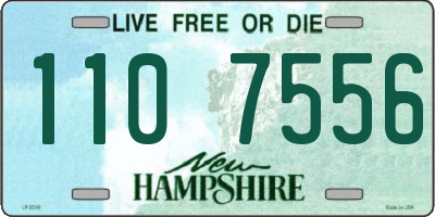 NH license plate 1107556
