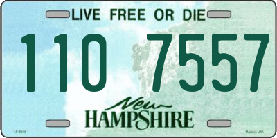 NH license plate 1107557
