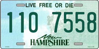 NH license plate 1107558