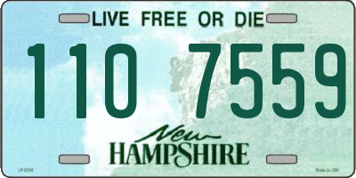 NH license plate 1107559
