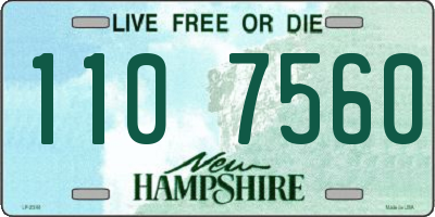 NH license plate 1107560