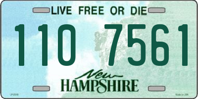 NH license plate 1107561