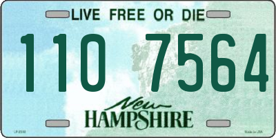 NH license plate 1107564