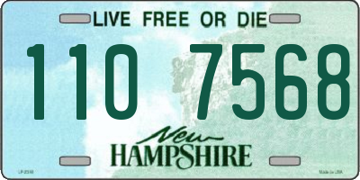 NH license plate 1107568