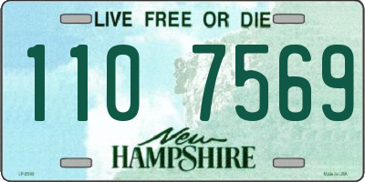 NH license plate 1107569