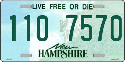 NH license plate 1107570