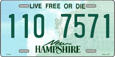 NH license plate 1107571