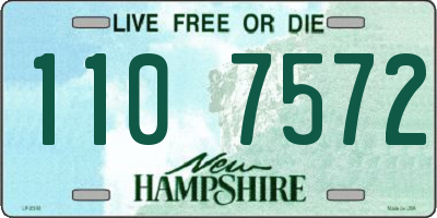 NH license plate 1107572