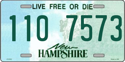 NH license plate 1107573