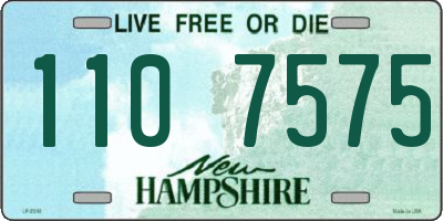 NH license plate 1107575