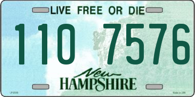 NH license plate 1107576