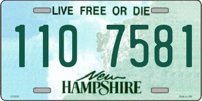 NH license plate 1107581