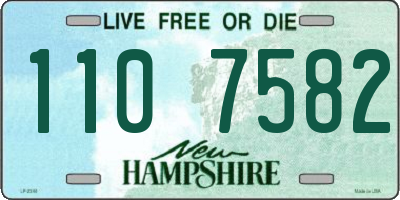 NH license plate 1107582
