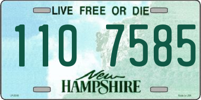 NH license plate 1107585