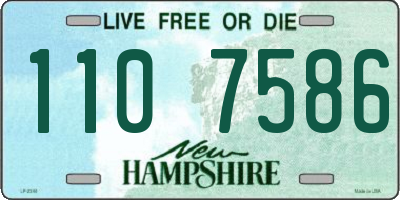 NH license plate 1107586