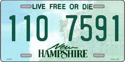 NH license plate 1107591