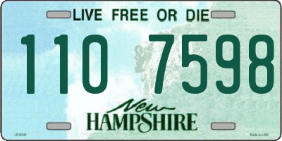 NH license plate 1107598