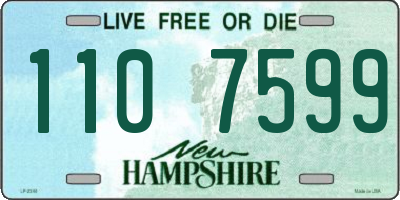 NH license plate 1107599