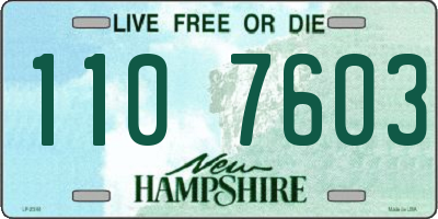 NH license plate 1107603