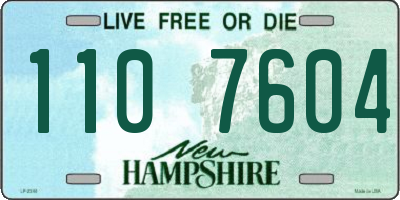 NH license plate 1107604