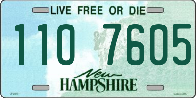 NH license plate 1107605
