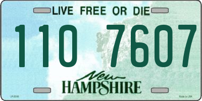 NH license plate 1107607
