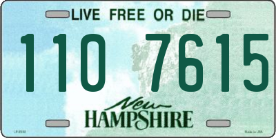NH license plate 1107615