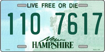 NH license plate 1107617