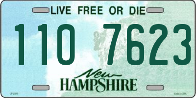 NH license plate 1107623