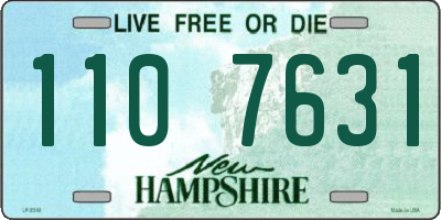 NH license plate 1107631